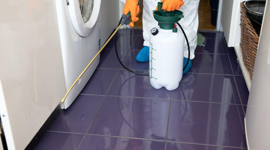 Why choose Organic Pest Control Randolph for organic pest control in Randolph